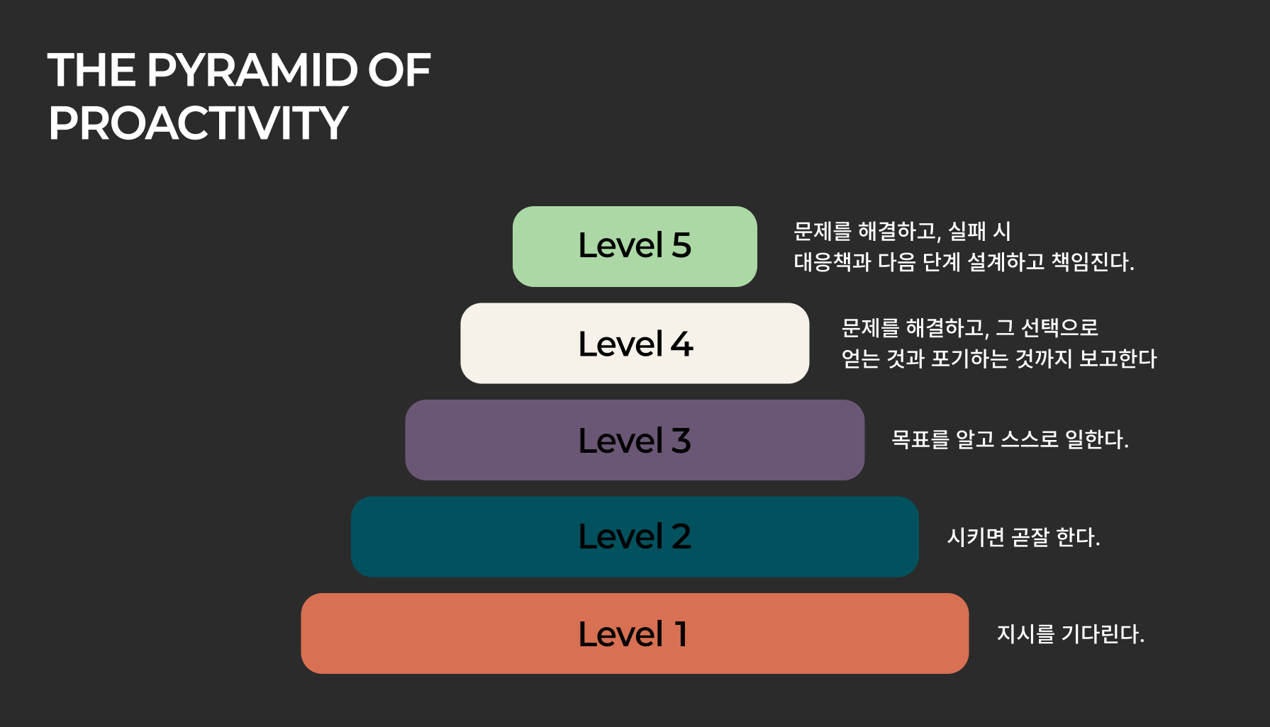 주도성 피라미드